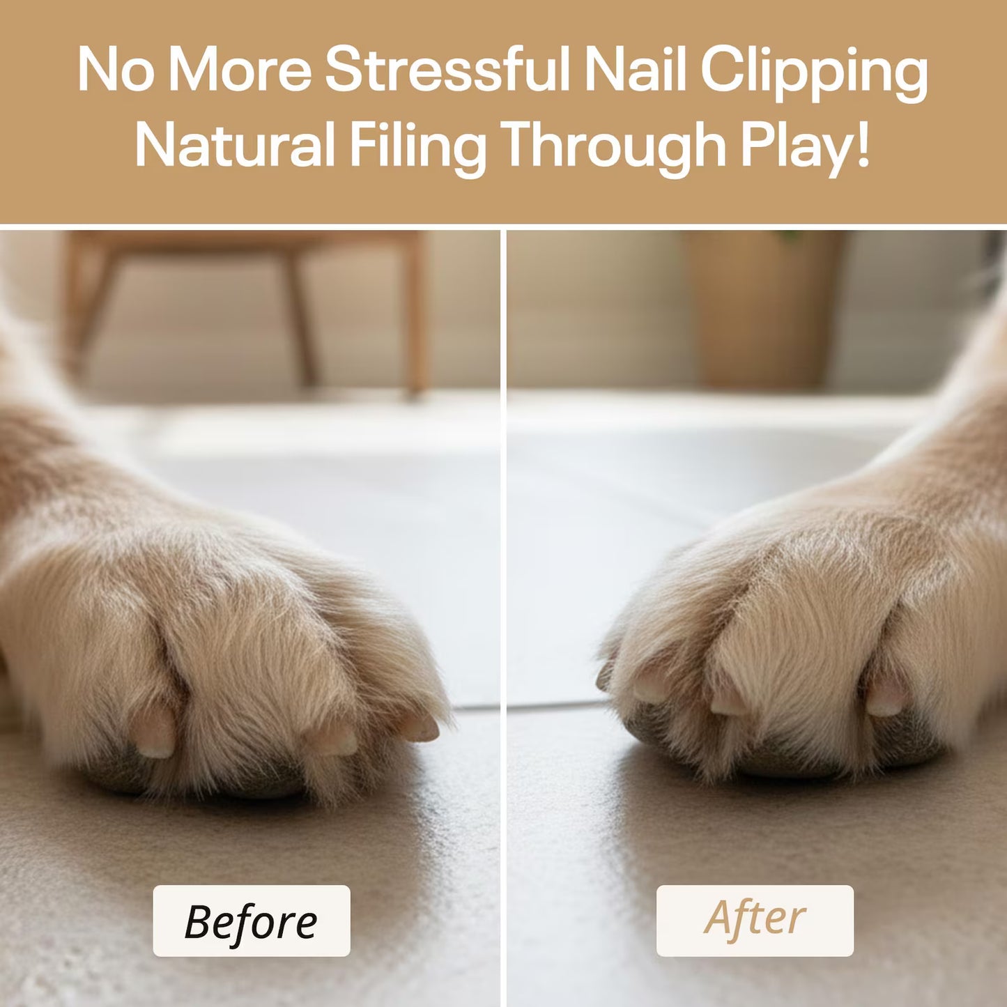 Pet Paws Wood Polisher