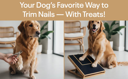 Pet Paws Wood Polisher